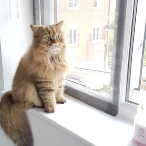 Custom Flat Cats Window Screens - Mesh Window Protection for Cats