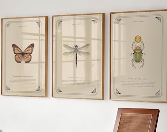 Vintage BUTTERFLY DRAGONFLY SCARAB Beetle Poster Print, Insect Painting Art, Nature Wall Decor, Ancient Beetle Poster