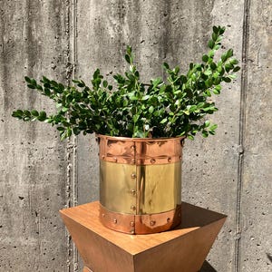 May include: A cylindrical planter with a brass center and copper top and bottom, filled with green leafy branches. The planter sits on a wooden, geometric side table against a concrete wall.