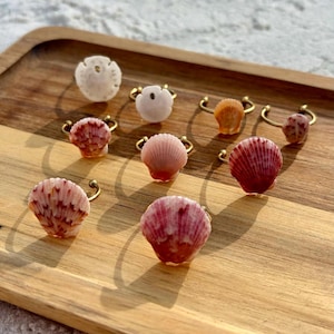 May include: A collection of eight rings featuring natural seashells in shades of white, pale pink, and deep reddish-pink. Each ring has a thin, gold-toned metal band attached to the back of a unique, textured seashell, showcasing varied shell shapes.