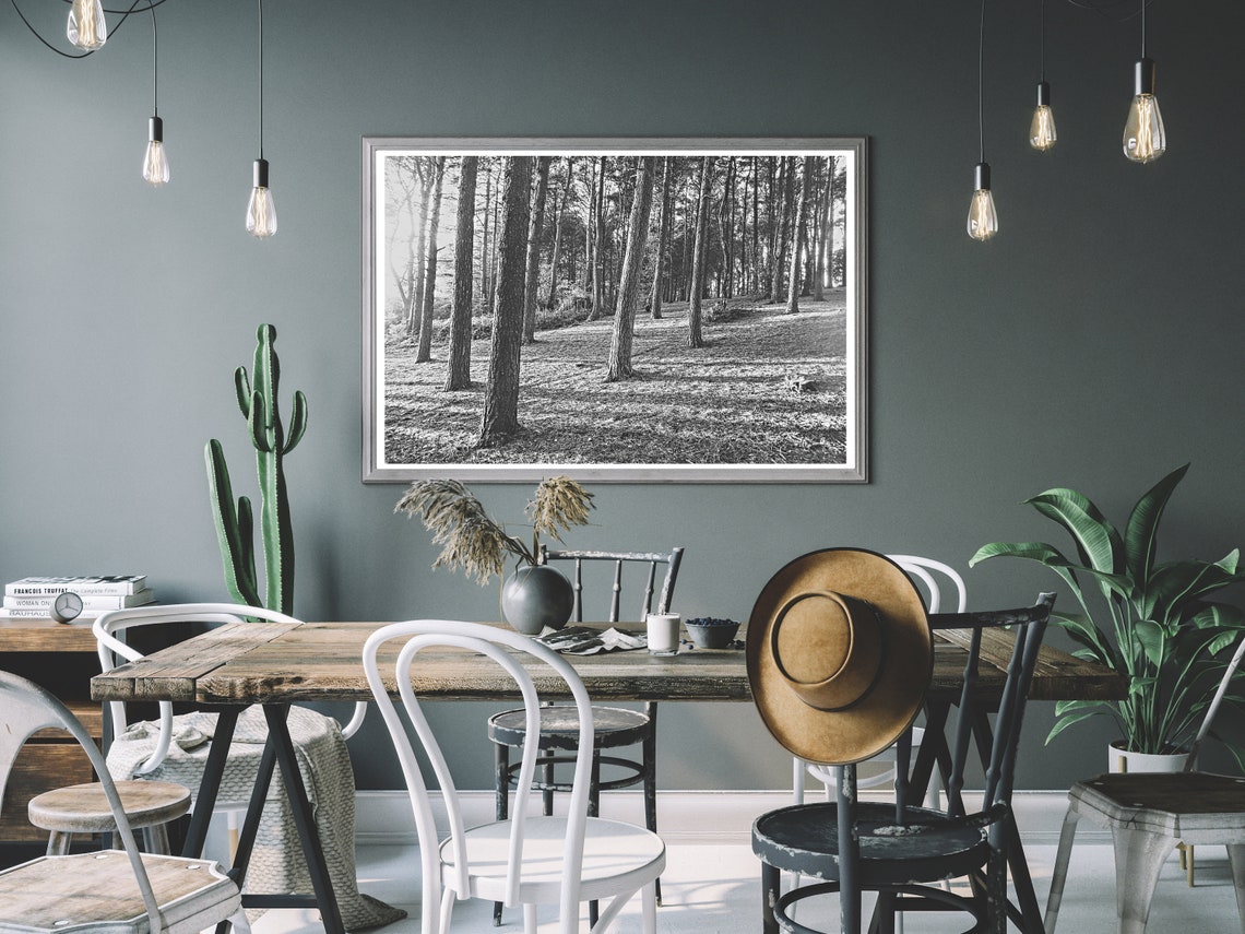 Black and White Photography Photographic Print Black & Etsy