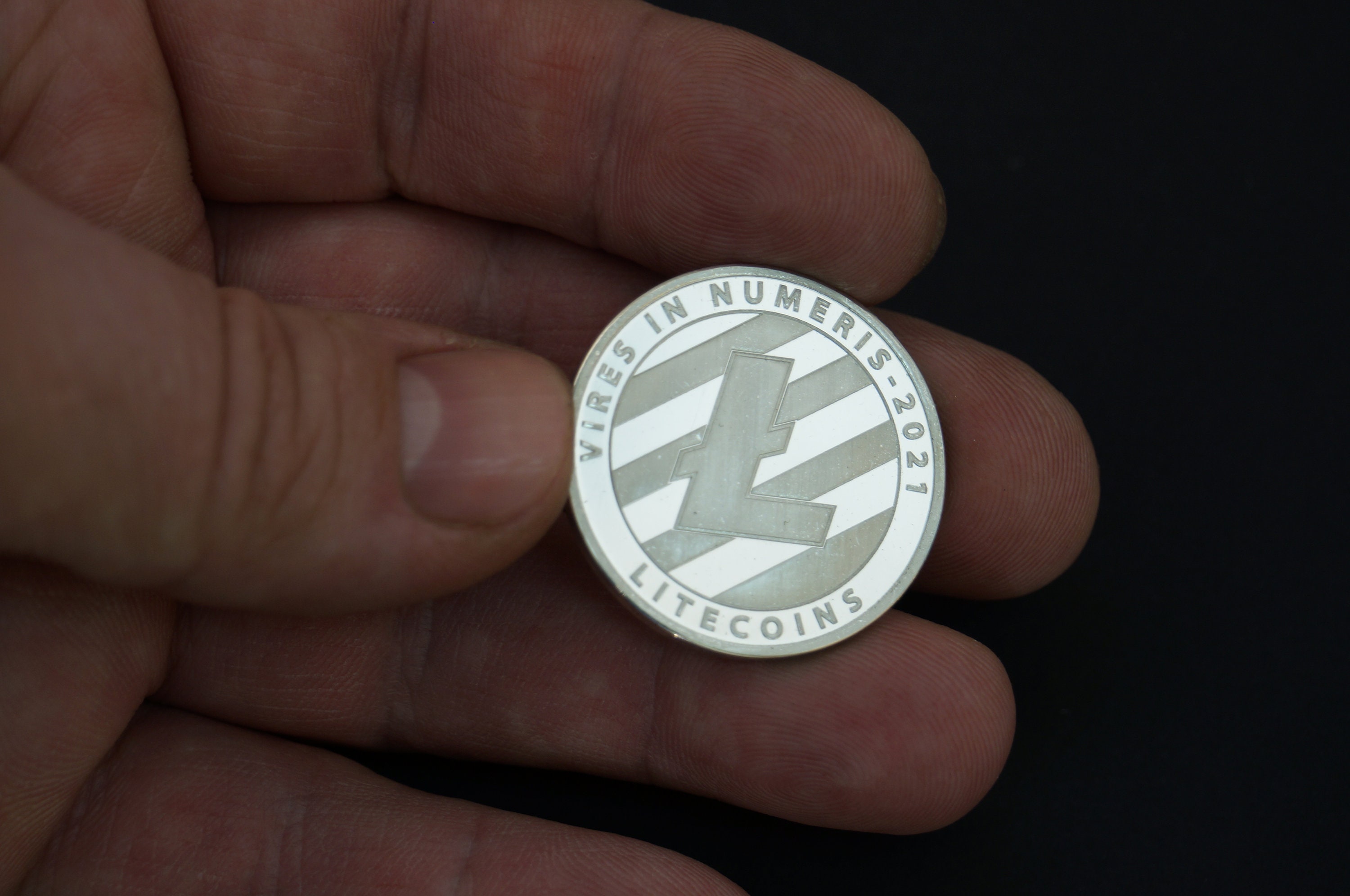 Litecoin fine silver 1/2 т oz 999 or 925 Litecoin | Etsy