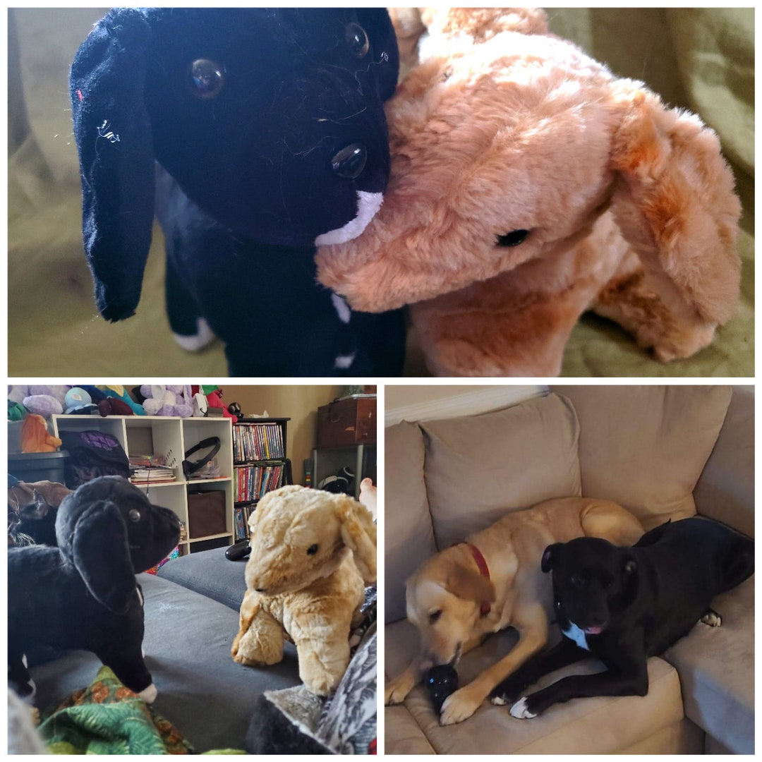 Match My Dog Stuffed Animal Etsy