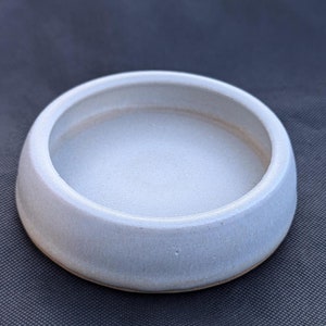 Large reptile feeding dish for water and insects with anti-escape lip