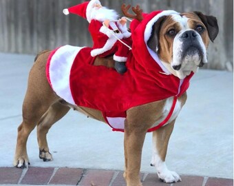 large dog christmas outfits