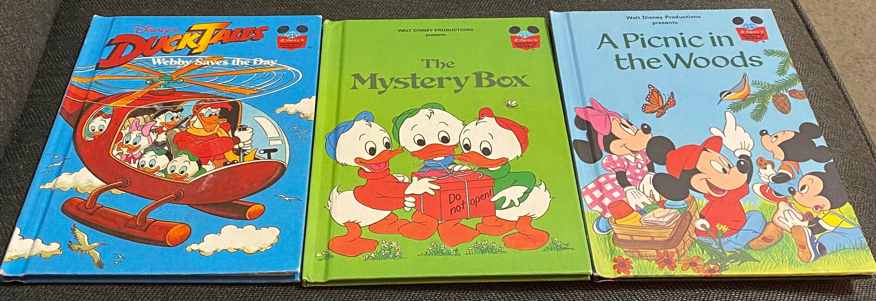 Disneys the Mystery Box A Picnic in the Woods Duck Tales Etsy