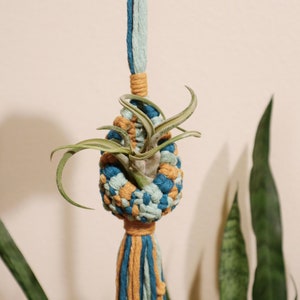 May include: A macrame plant hanger with a blue, green, and orange color scheme. A small air plant is nestled in the center of the hanger.