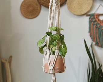 Indoor gardenia - Etsy España