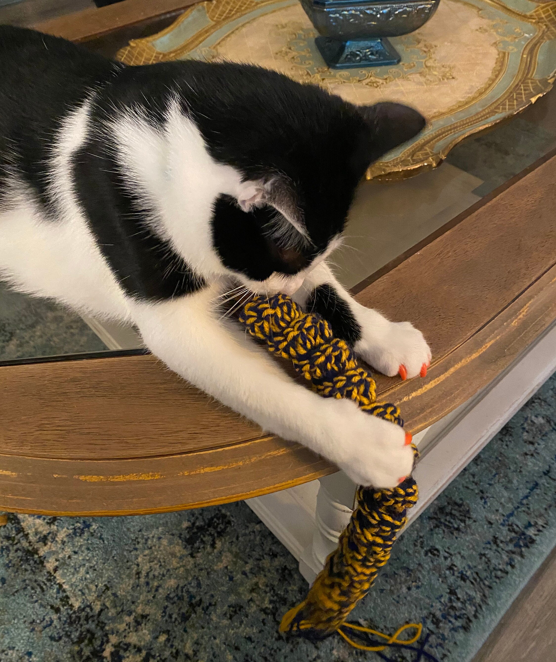 crossword springy toy crossword springy toy