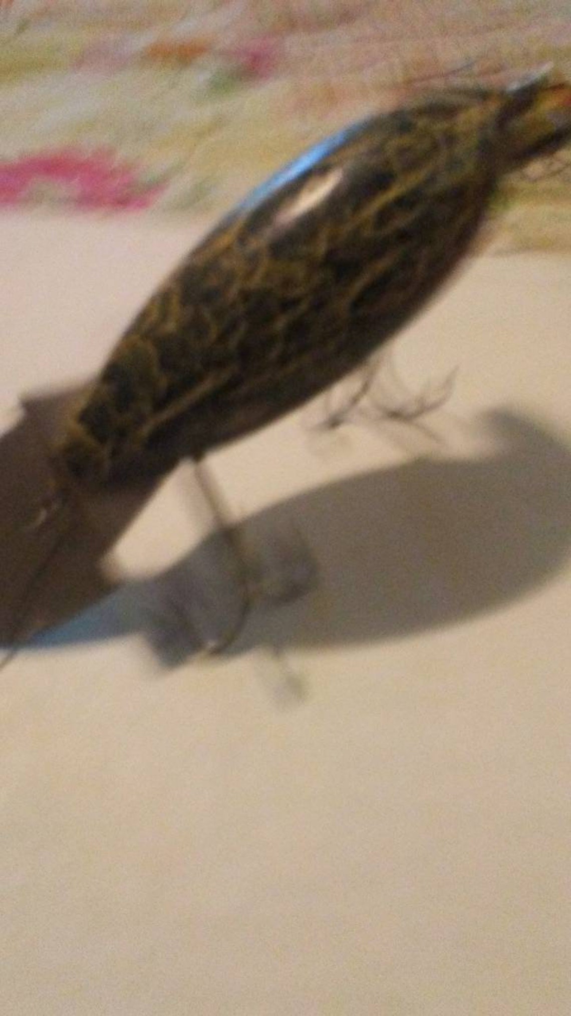 Vintage Heddon madera Crackleback Ir señuelo de pesca de | Etsy