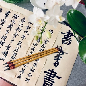 Chinesische Kalligraphie und Sumi Malerei Pinsel, Pony-Haar-Pinsel für normale Schrift, laufende Schrift, kursive Schrift, offizielle Schrift, CA Society