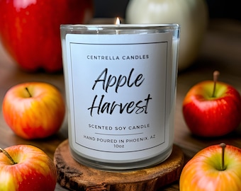 Apple Harvest Scented Candle: Spice & Fruit Notes