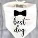 see more listings in the Dog Wedding Attire section