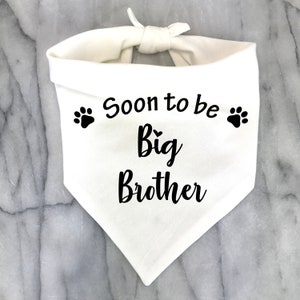 Soon to Be Big Brother Dog Bandana, Pregnancy Announcement Photos, Baby ...