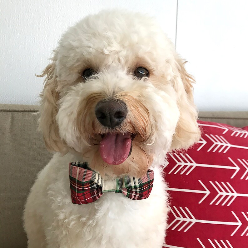 Matching Christmas Dog Bandana and Bow Tie Set Plaid Bandana Etsy