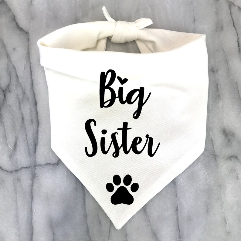 Big Sister Dog Bandana Pregnancy Announcement Photos Baby Etsy
