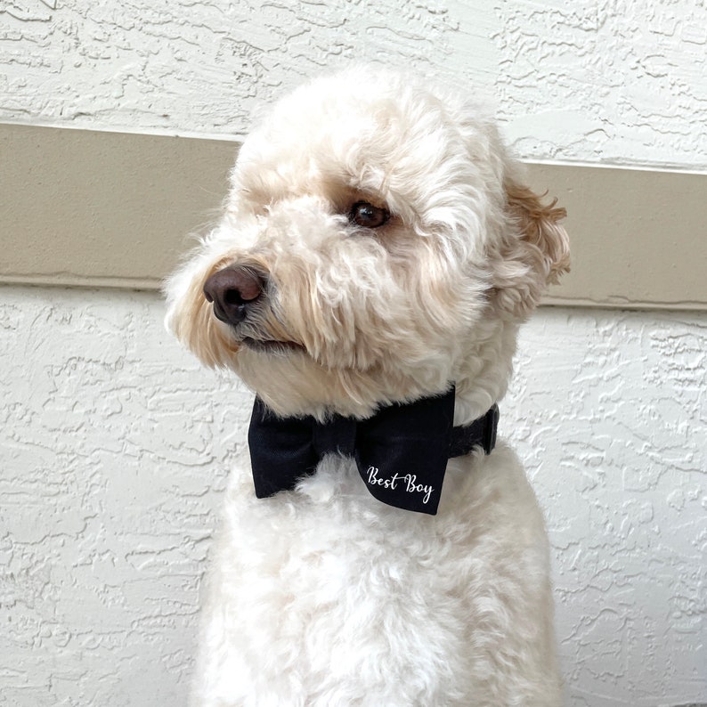 Wedding Dog Bow Tie, Dog Wedding Attire, Best Boy, Engagement Dog Gift, Wedding Shower Gift, Black Dog Bow Tie, Dog Tuxedo Wedding Outfit image 3