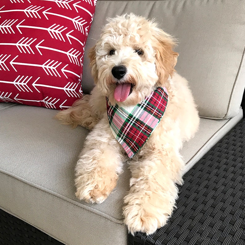 Matching Christmas Dog Bandana and Bow Tie Set Plaid Bandana Etsy