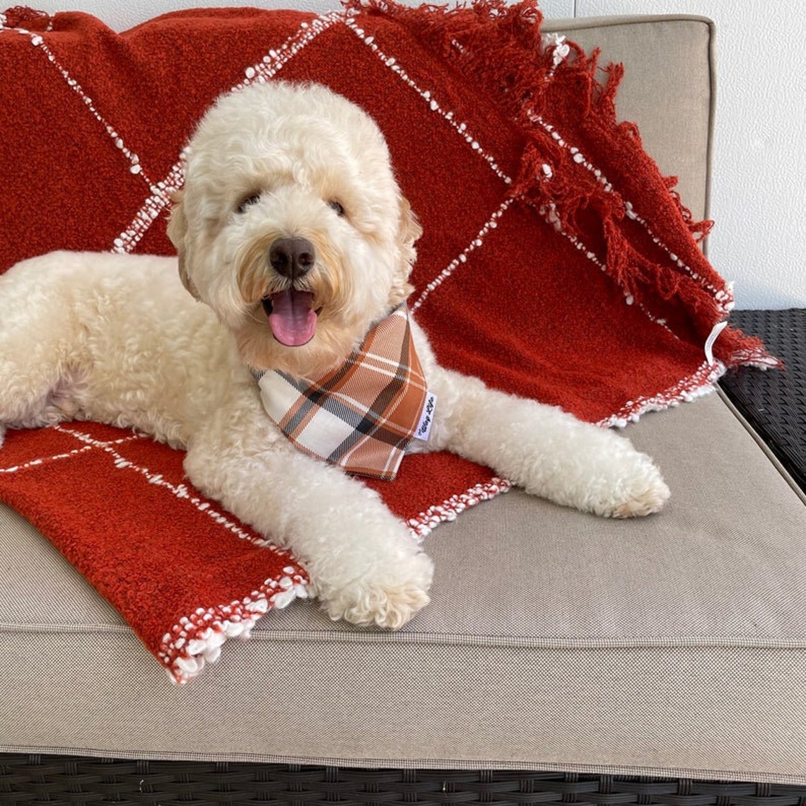 Matching Dog and Owner Set Fall Plaid Dog Bandana Hair Etsy UK