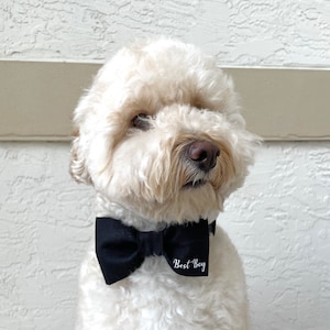 Wedding Dog Bow Tie, Dog Wedding Attire, Best Boy, Engagement Dog Gift, Wedding Shower Gift, Black Dog Bow Tie, Dog Tuxedo Wedding Outfit image 4