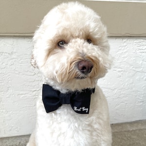 Wedding Dog Bow Tie, Dog Wedding Attire, Best Boy, Engagement Dog Gift, Wedding Shower Gift, Black Dog Bow Tie, Dog Tuxedo Wedding Outfit image 6