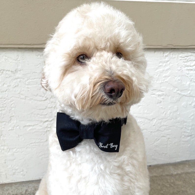 Wedding Dog Bow Tie, Dog Wedding Attire, Best Boy, Engagement Dog Gift, Wedding Shower Gift, Black Dog Bow Tie, Dog Tuxedo Wedding Outfit image 6