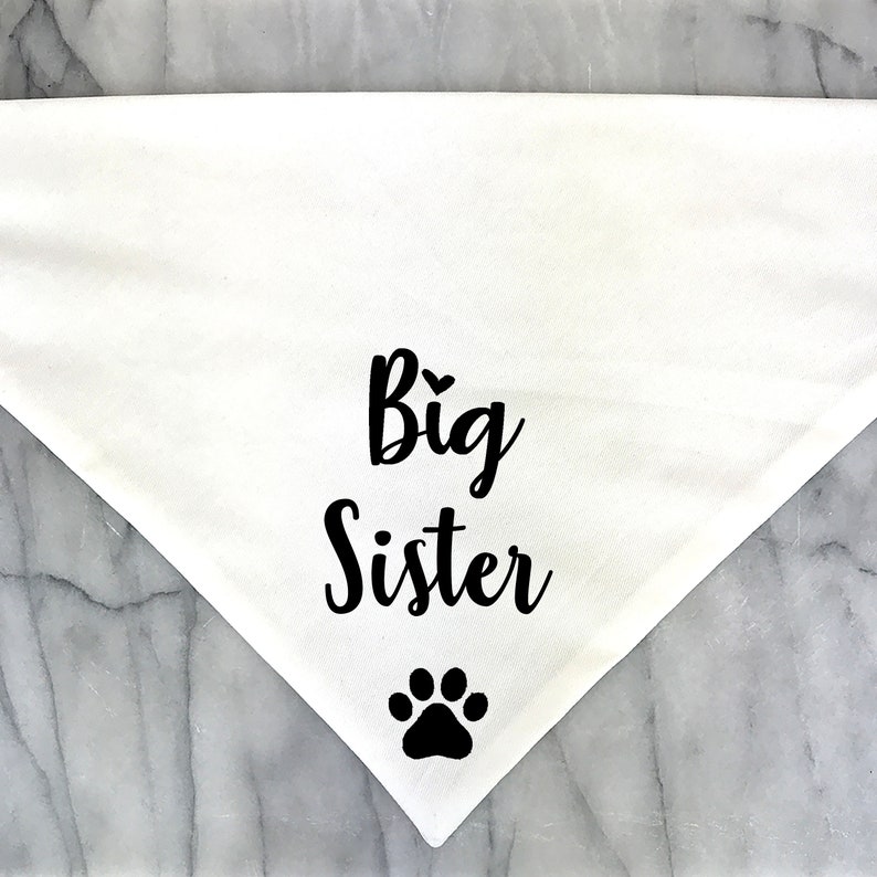 Big Sister Dog Bandana Pregnancy Announcement Photos Baby Etsy