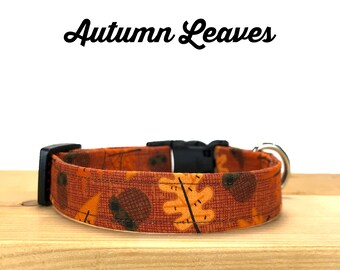 Fall Dog Collar, Autumn Leaves, Seasonal Holiday dog collar, Pet collar, Gift for Dog Lover, Gift for Pet Lover, Brown and Gold Acorns