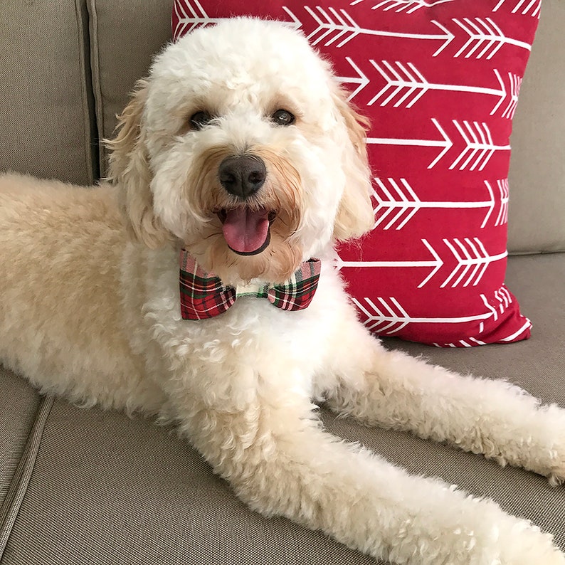Matching Christmas Dog Bandana and Bow Tie Set Plaid Bandana Etsy
