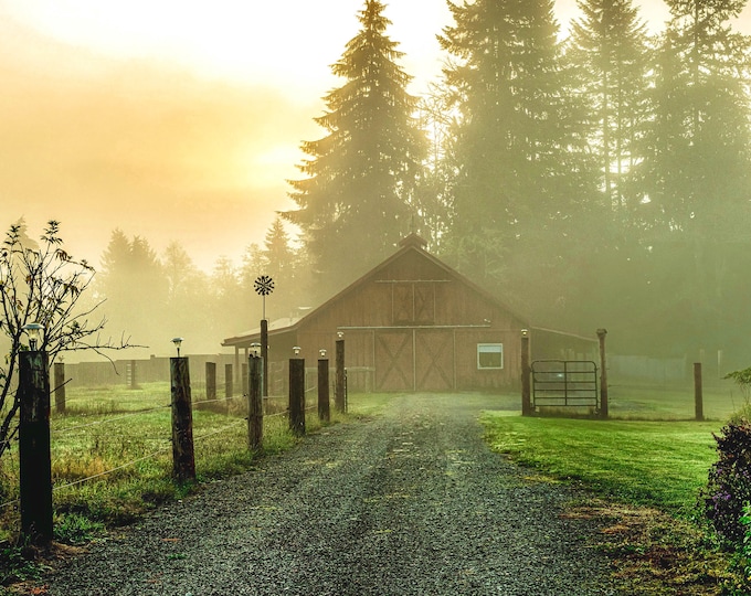 Foggy Sunrise Panorama (fine art print)