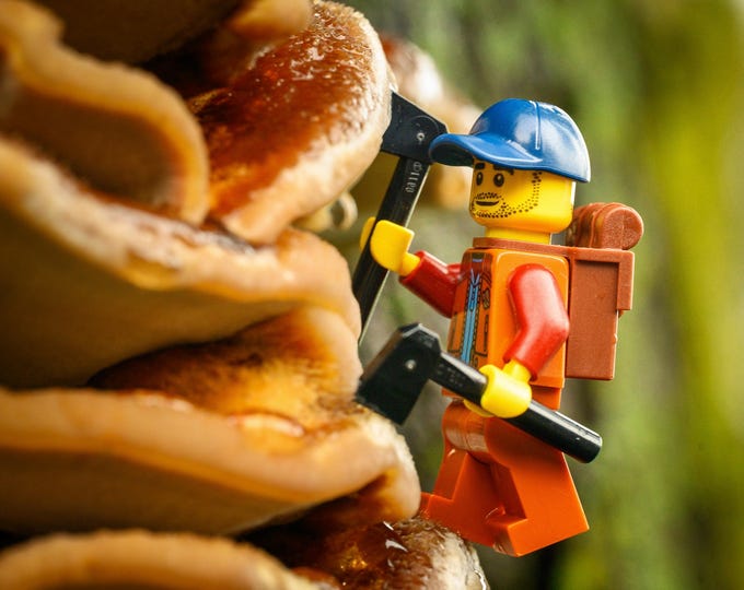 Mushroom Mounting Climber