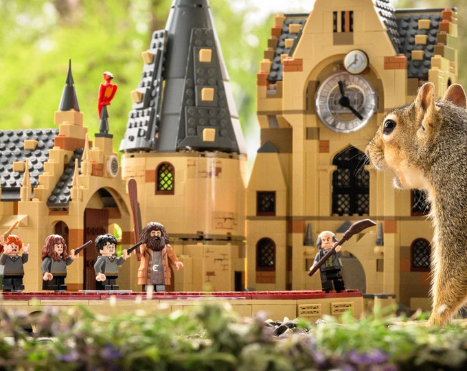 Attack on Hogwarts! (Fine art print)