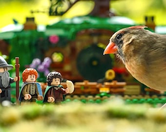 Cardinal in the Shire
