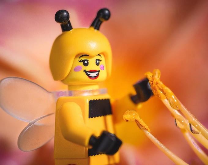 Bumble Bee Portrait