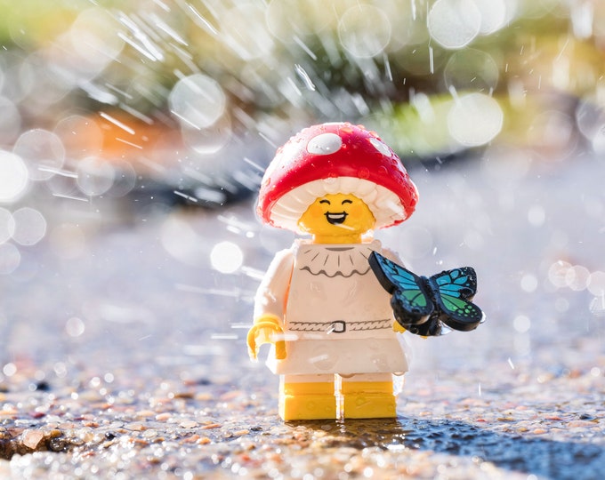 Butterfly Rain (fine art print)