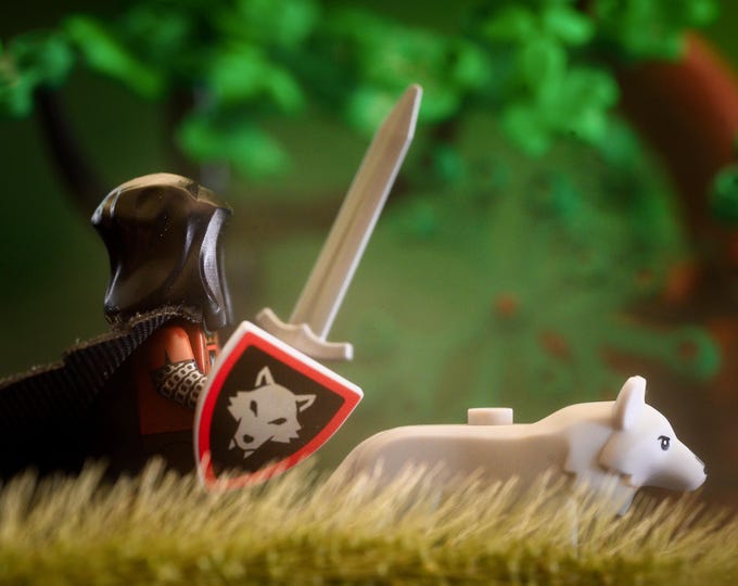 The Protectors