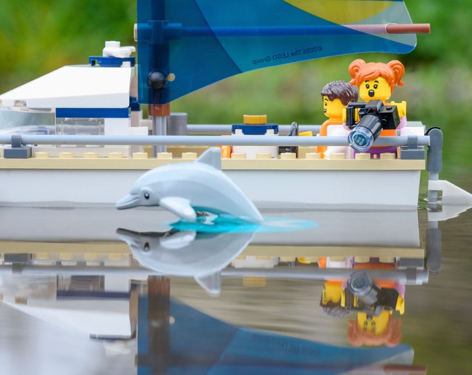 Dolphin Watching (fine art print)