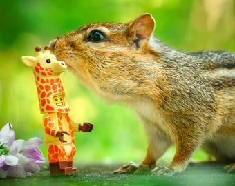 Chipmunk Kiss