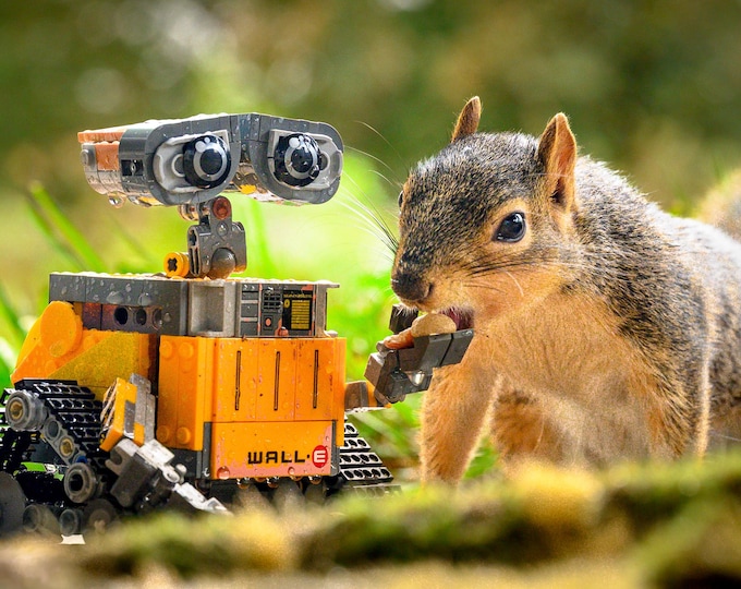 Robot and Friend