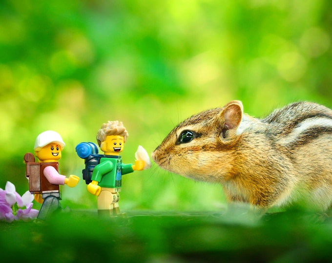 Feeding the Chipmunk