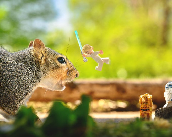 Luke and the Squirrel