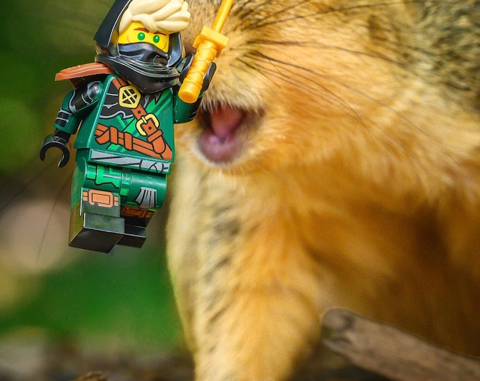 Ninjago Vs Squirrel 1