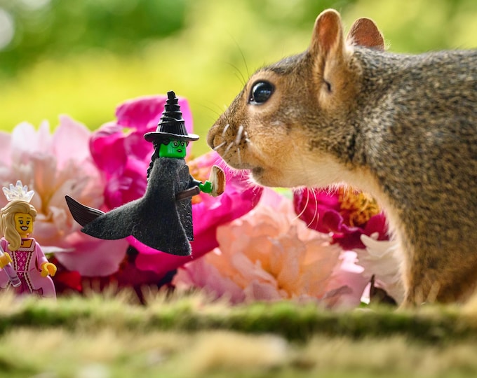 The Wicked Squirrel