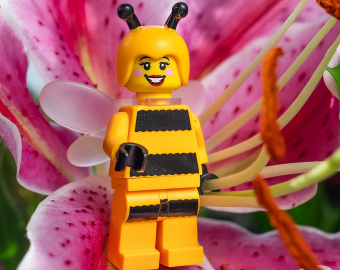 Bumble Bee Girl Orchid (fine art print)