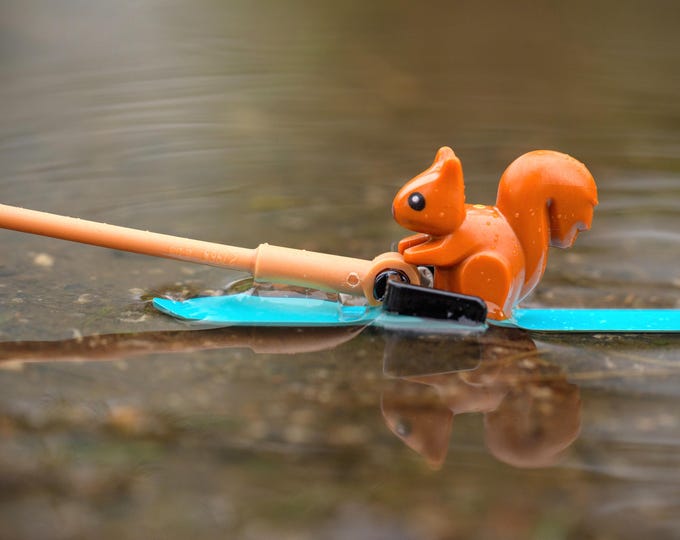 Nutty the Water Skiing Squirrel