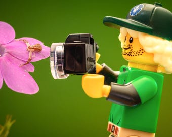 Macro Work