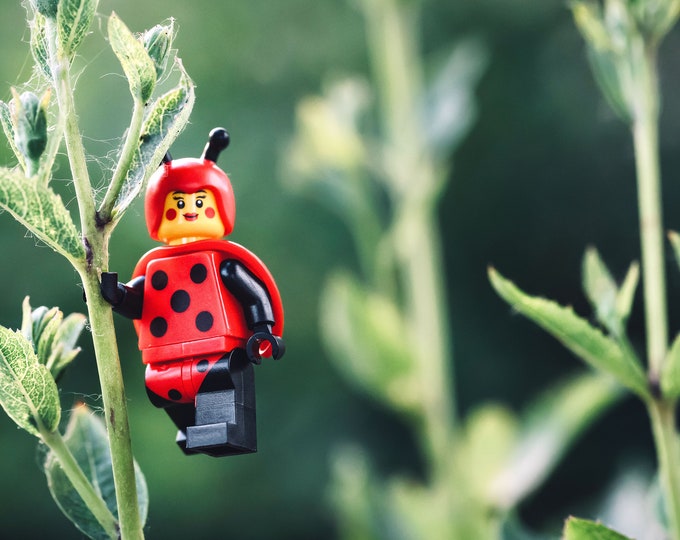 Lady Bug Girl (fine art print)