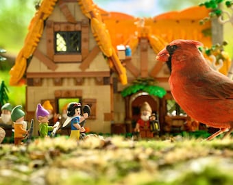 Dwarf Princess and the Cardinal