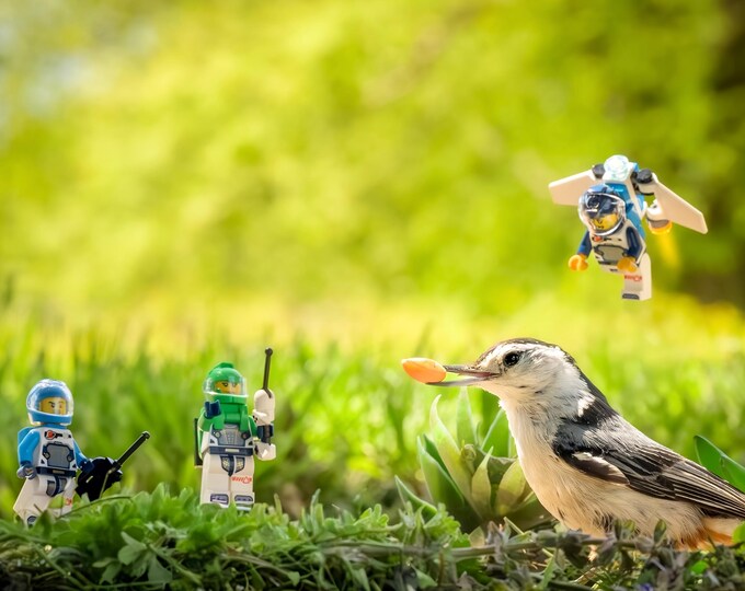 First Contact