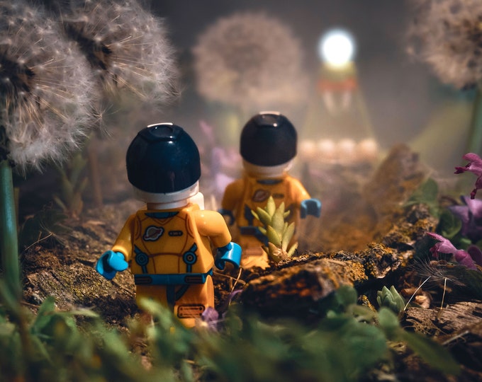 Alien Planet (fine art print)